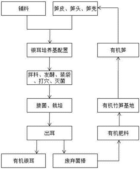 Method for cultivating high-quality organic tremella fuciformis by utilizing bamboo shoot offal