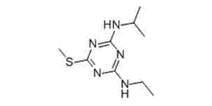 Weeding combination containing ametryn and sulfentrazone and applications of weeding combination