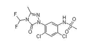 Weeding combination containing ametryn and sulfentrazone and applications of weeding combination