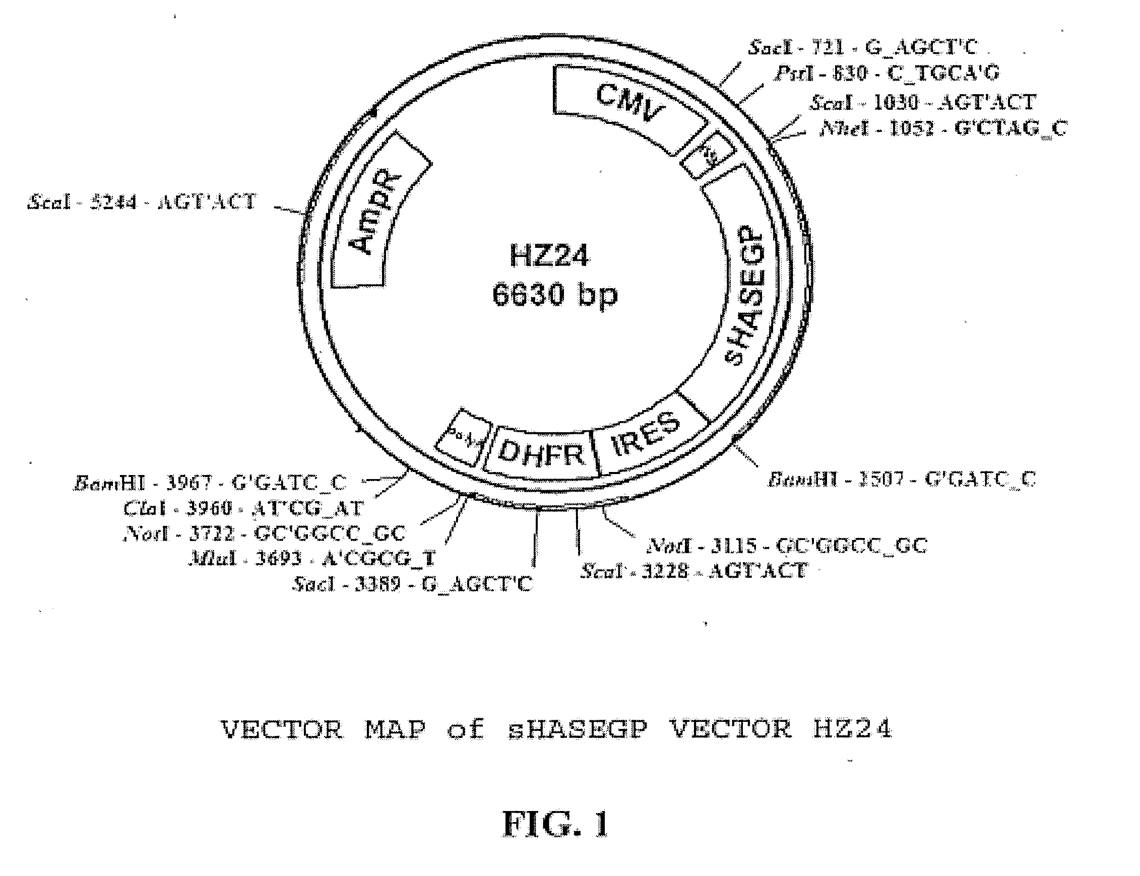 Soluble glycosaminoglycanases and methods of preparing and using soluble glycosaminoglycanases