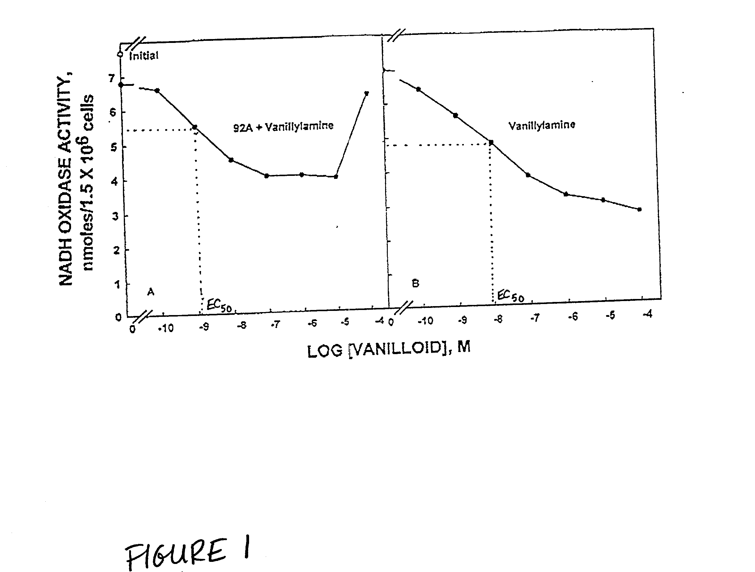 Compositions based on vanilloid-catechin synergies for prevention and treatment of cancer