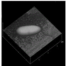 Iron matrix autotrophic denitrification microbacterium strain and application thereof