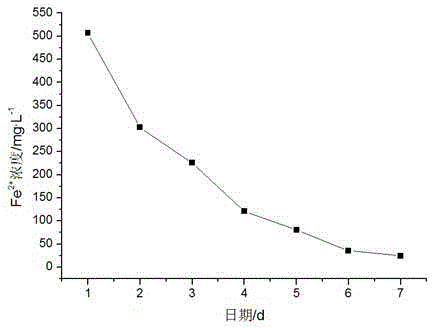 Iron matrix autotrophic denitrification microbacterium strain and application thereof