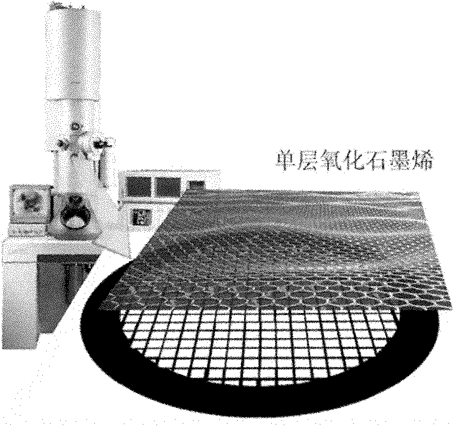 Supporting membrane of transmission electron microscope sample and manufacturing method for transmission electron microscope sample