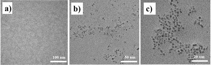 Polyethyleneimine modified quantum dot nanoparticle, preparation method thereof and application of polyethyleneimine modified quantum dot nanoparticle as nano-drug carrie