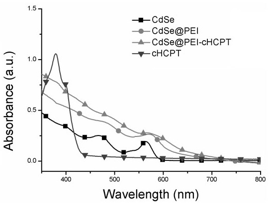 Polyethyleneimine modified quantum dot nanoparticle, preparation method thereof and application of polyethyleneimine modified quantum dot nanoparticle as nano-drug carrie