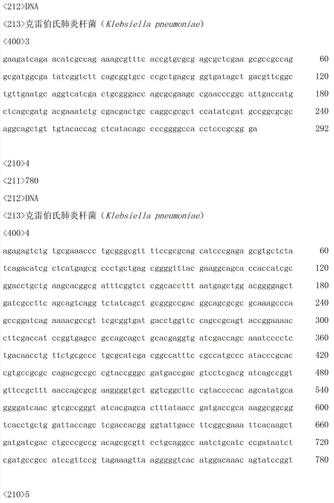 Method for producing 2-keto-D-gluconic acid by using fermentation method