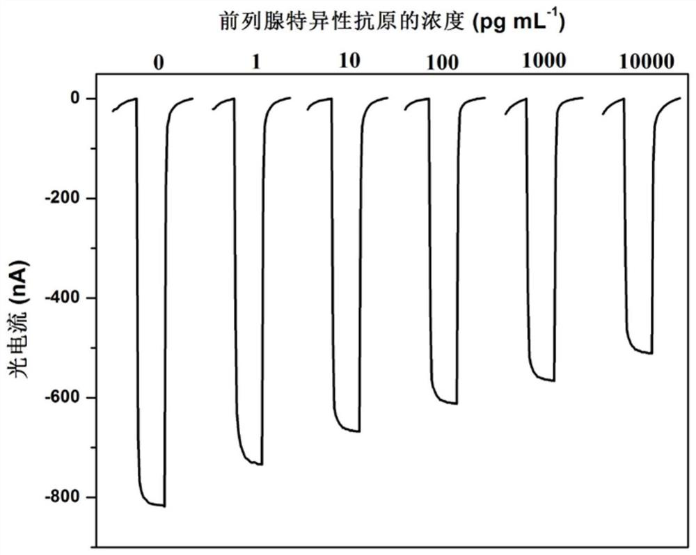 Preparation method of photoelectrochemical immunosensor for detecting prostate specific antigen