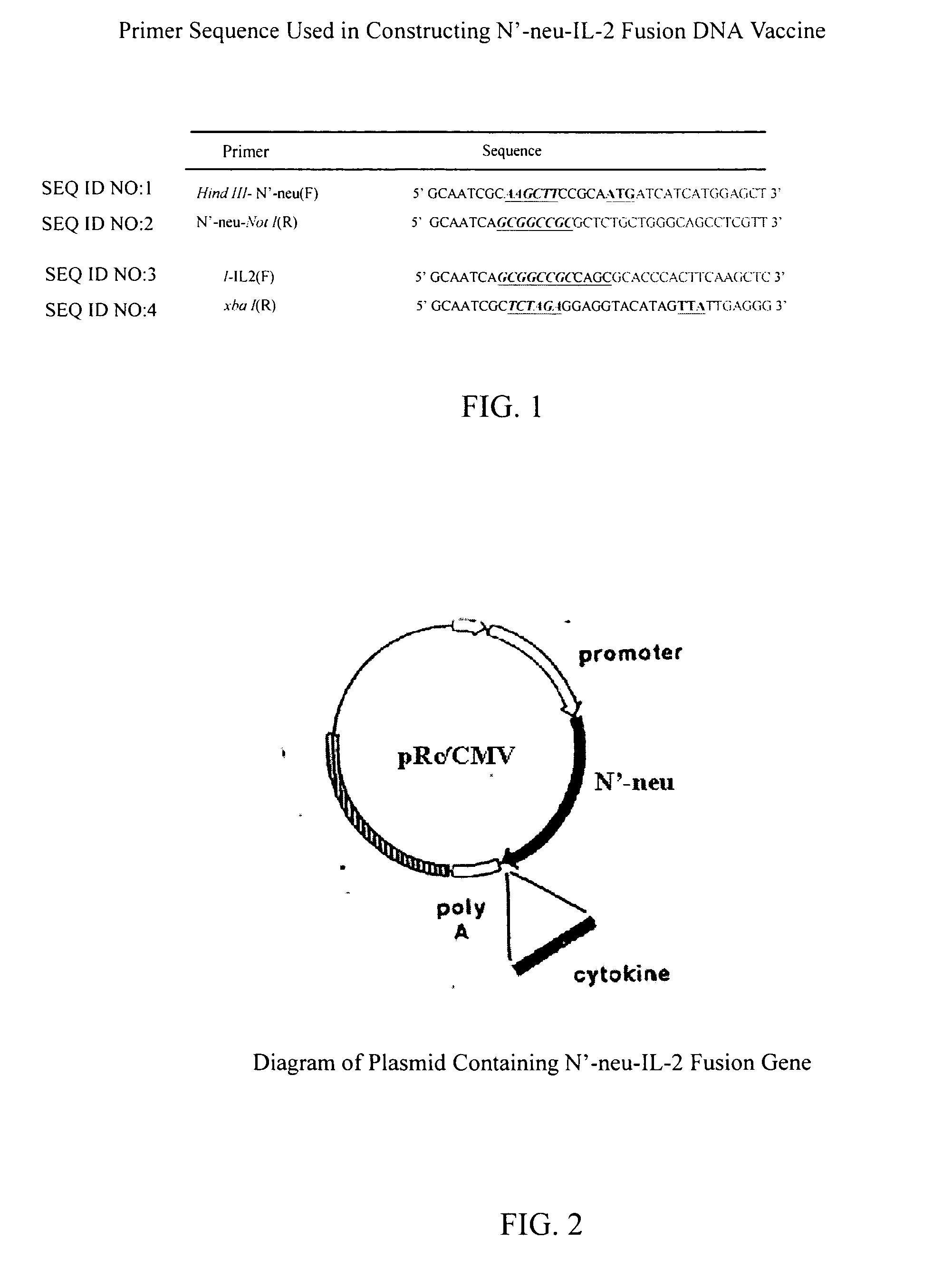 DNA vaccine containing tumor-associated gene and cytokine gene and method of preparation the same