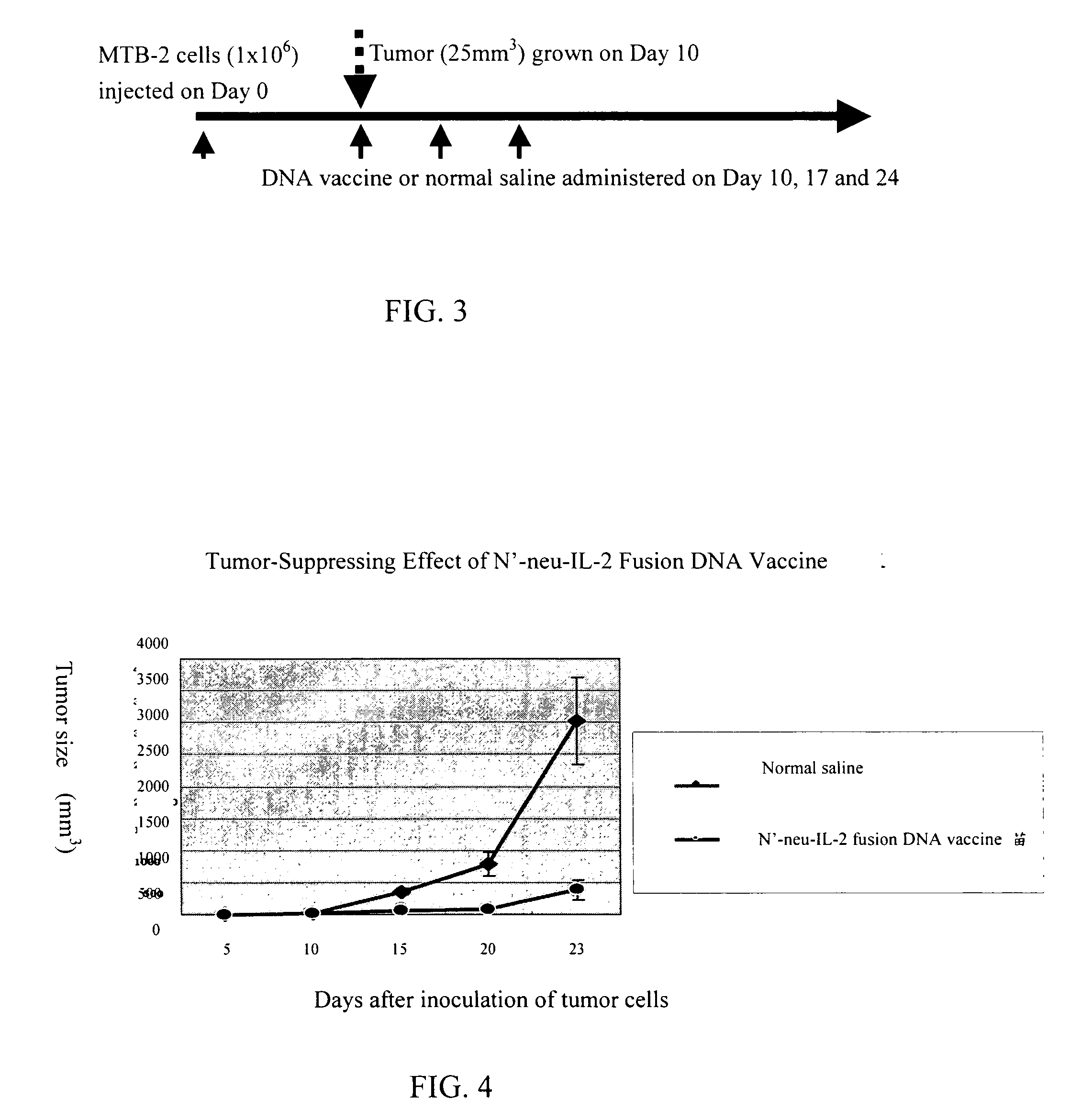 DNA vaccine containing tumor-associated gene and cytokine gene and method of preparation the same