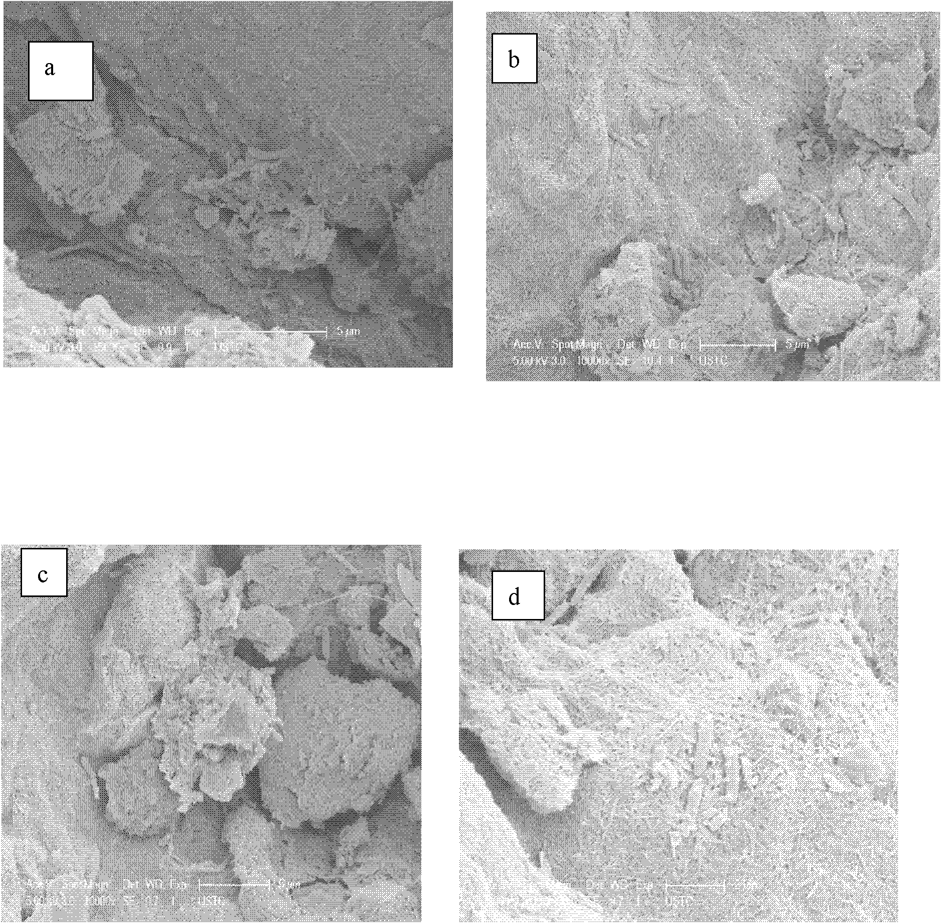 Attapulgite-based carbon composite ceramsite, its preparation method and use