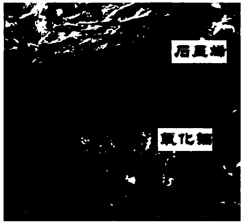 Heat-conducting adhesive containing graphene as well as preparation method and application of heat-conducting adhesive