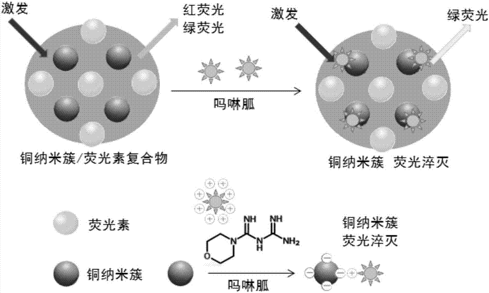 Moroxydine ratiometric fluorescent probe based on copper nano-cluster/fluorescein composite