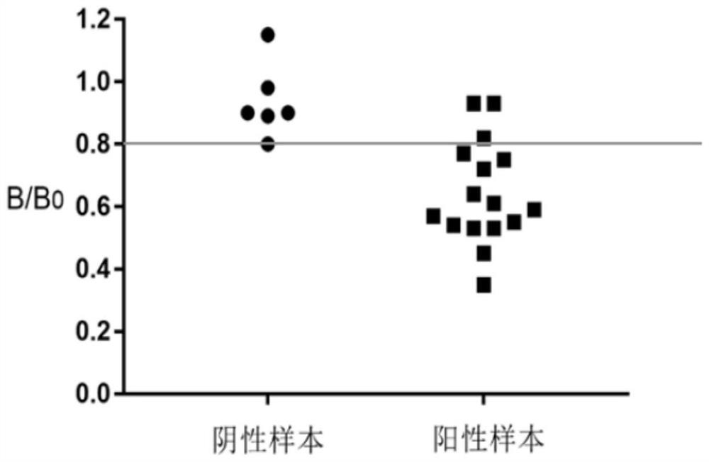 Homogeneous immunodetection kit for detecting target anti-Carp antibody and application thereof