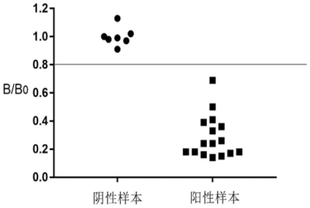 Homogeneous immunodetection kit for detecting target anti-Carp antibody and application thereof