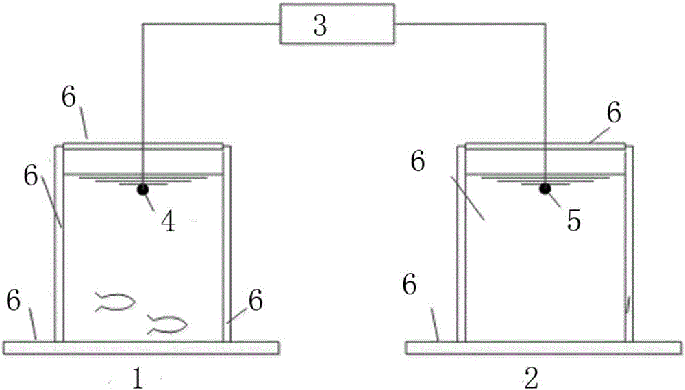 Freshwater fish variety identifying device and method based on passive acoustic information