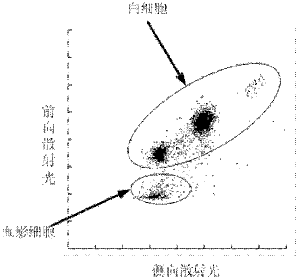 Plasmodium infected erythrocyte identification method and device thereof