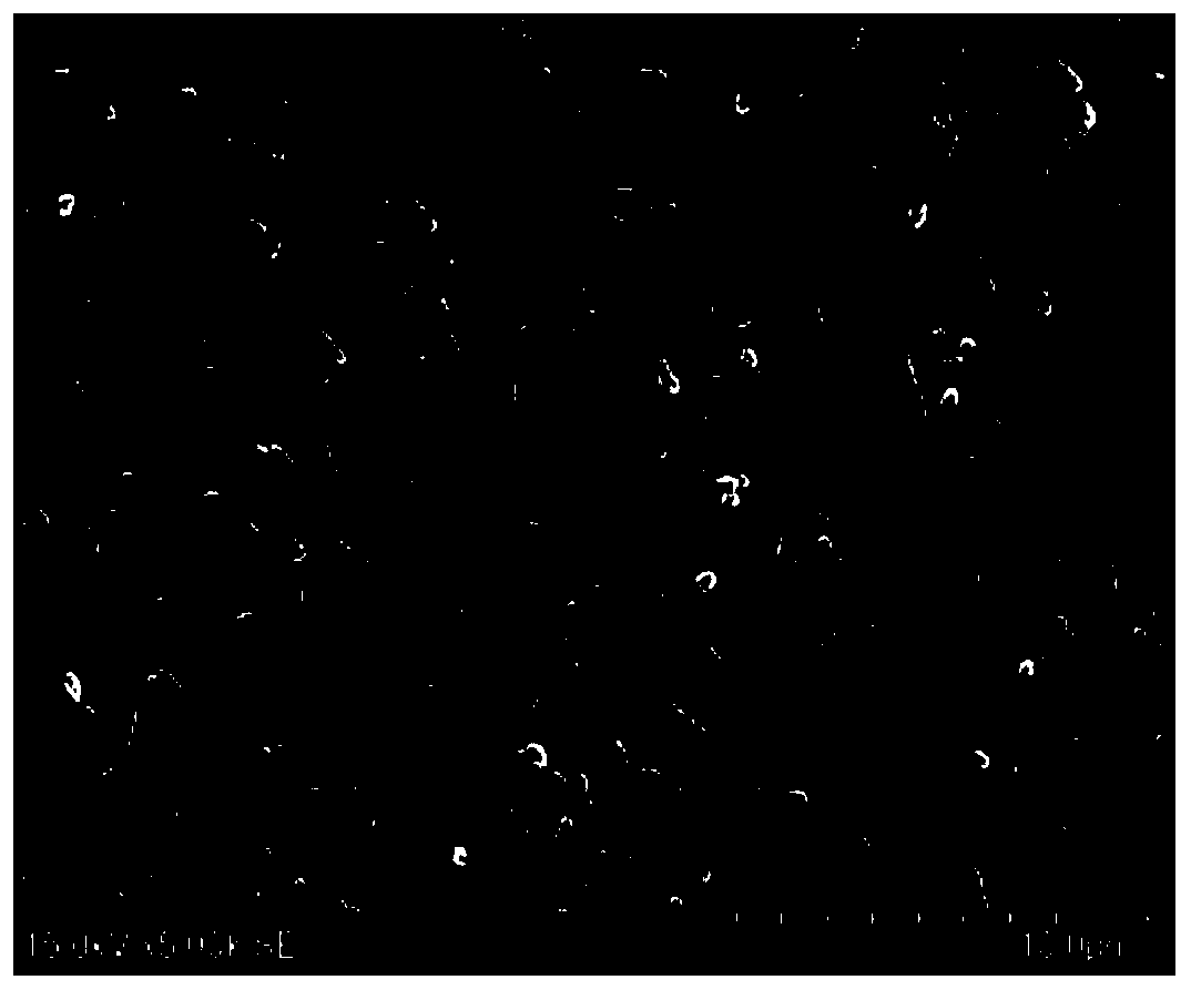 Saline-alkali soil composite conditioner and application method thereof