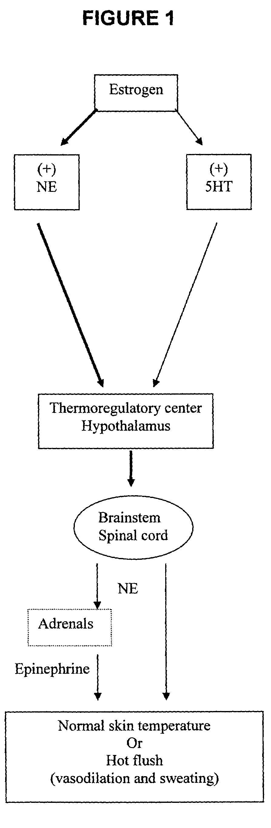 Fused-aryl and heteroaryl derivatives and methods of their use