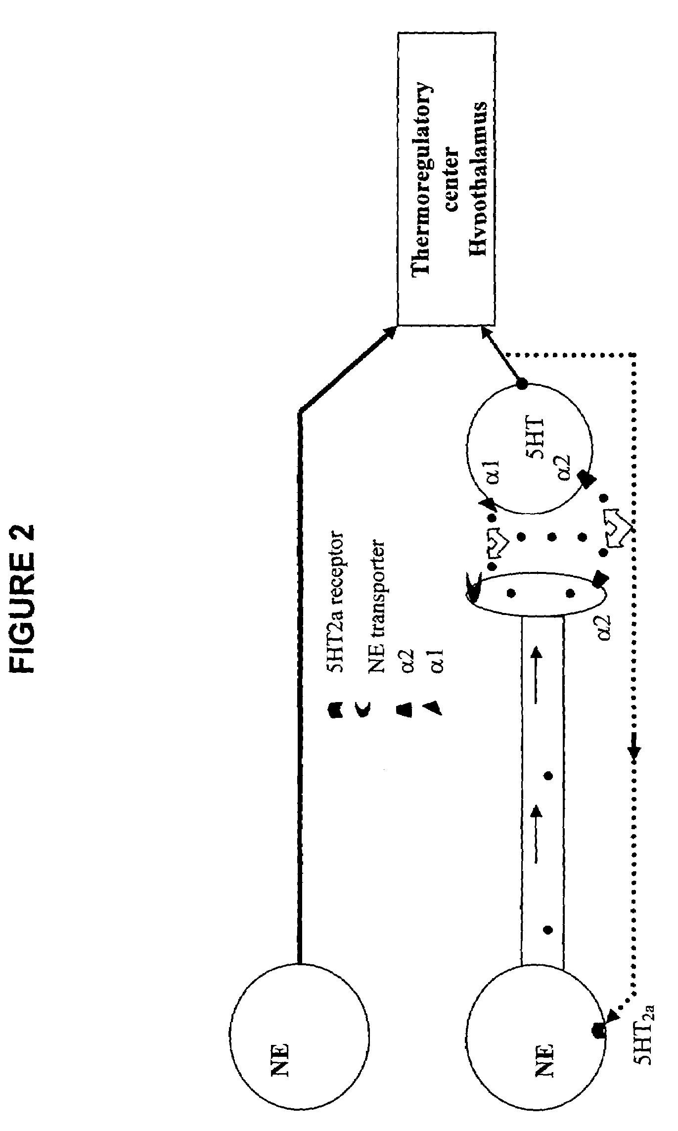 Fused-aryl and heteroaryl derivatives and methods of their use