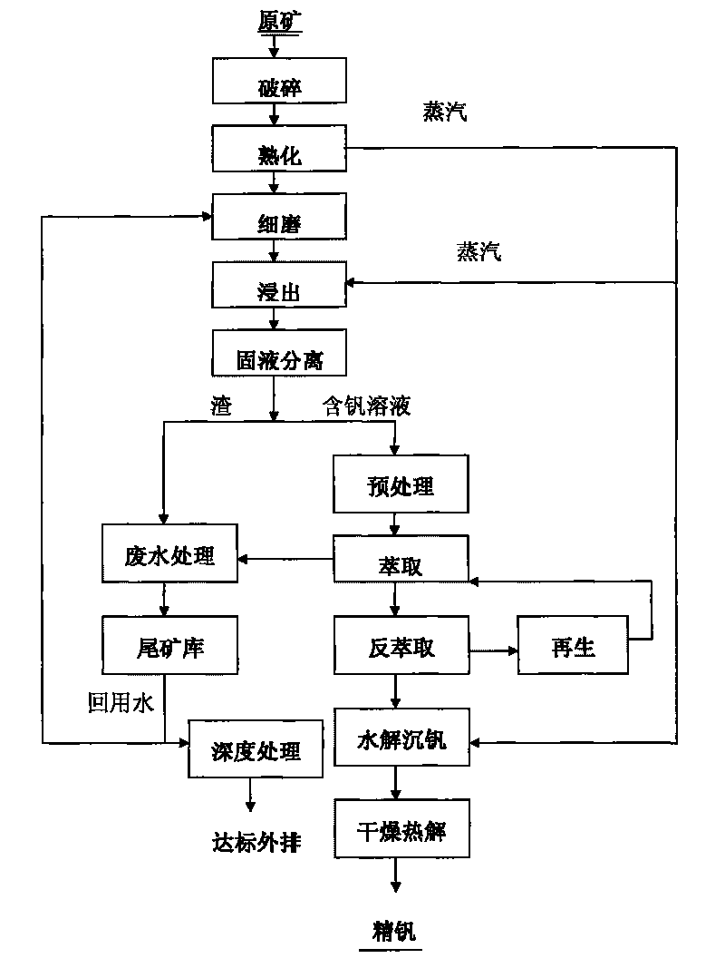 Process for extracting vanadium from stone coal by acid method for performing curing pretreatment on raw ore