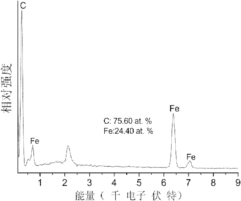 In situ preparation method for novel iron/carbon nano-tube grading nano-composite material