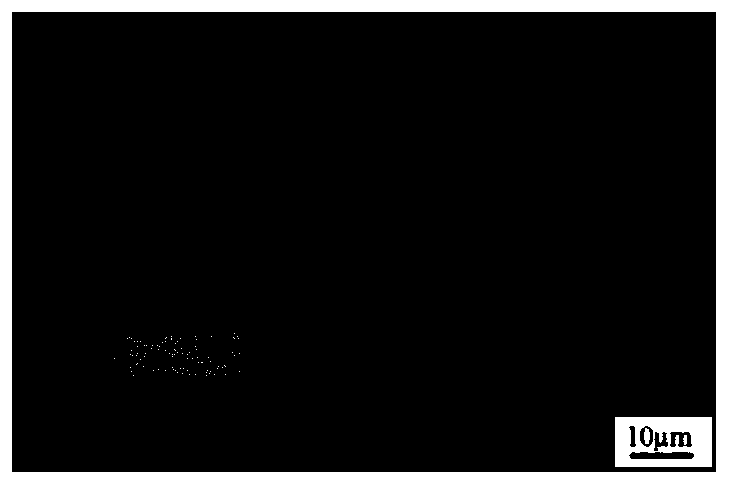 Alkaline cyanide-free brush plating solution for multielement coordination system and preparation method of alkaline cyanide-free brush plating solution