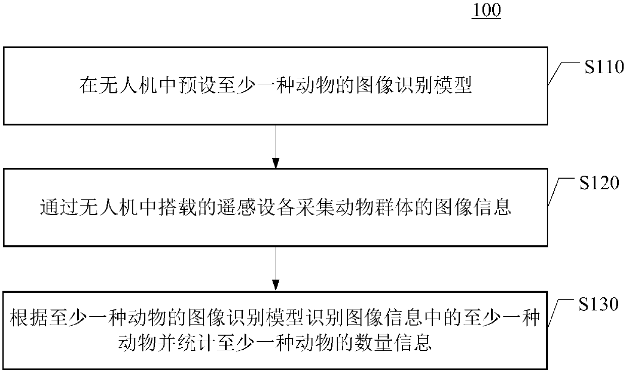 An animal recognition and quantity statistics method based on an unmanned aerial vehicle and the unmanned aerial vehicle