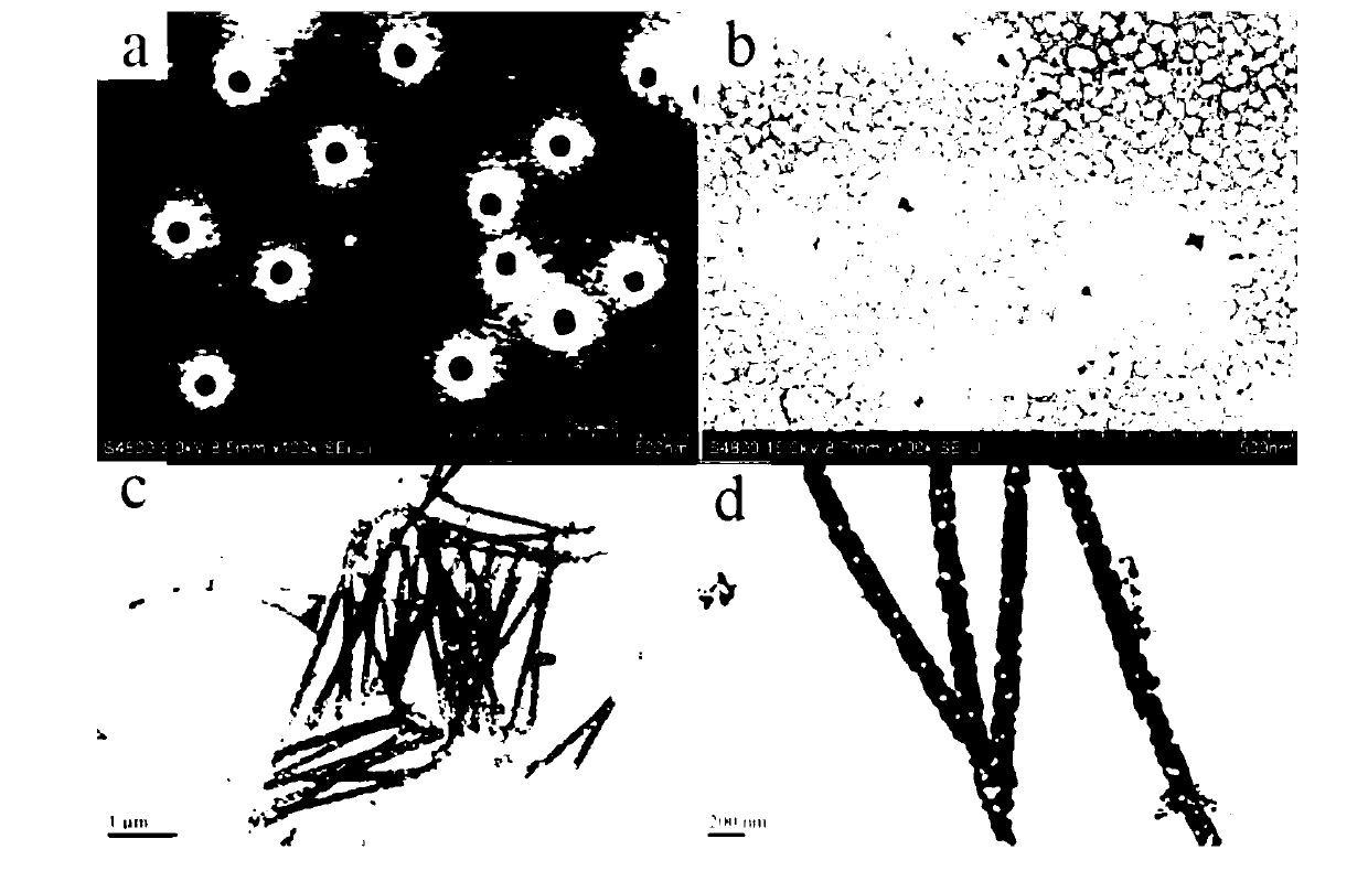 Method for separating beta-estradiol and oestrone based on nanometer channel modified by aptamer