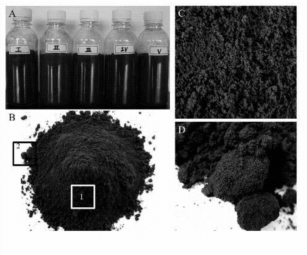 Active phosphate fertilizer as well as preparation method and application thereof