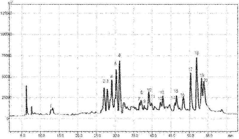 Method for identifying radix rosae gigantea extract