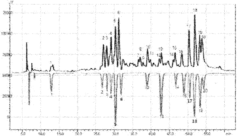 Method for identifying radix rosae gigantea extract