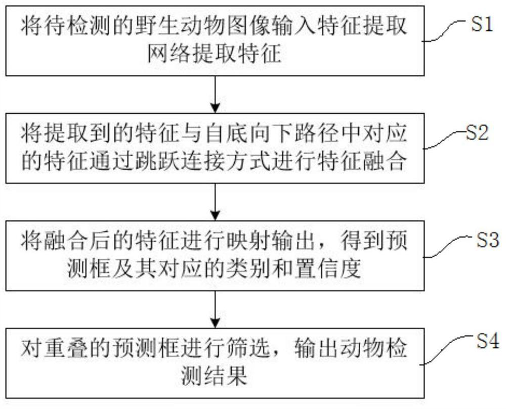 Wild animal detection method and device, storage medium and electronic equipment