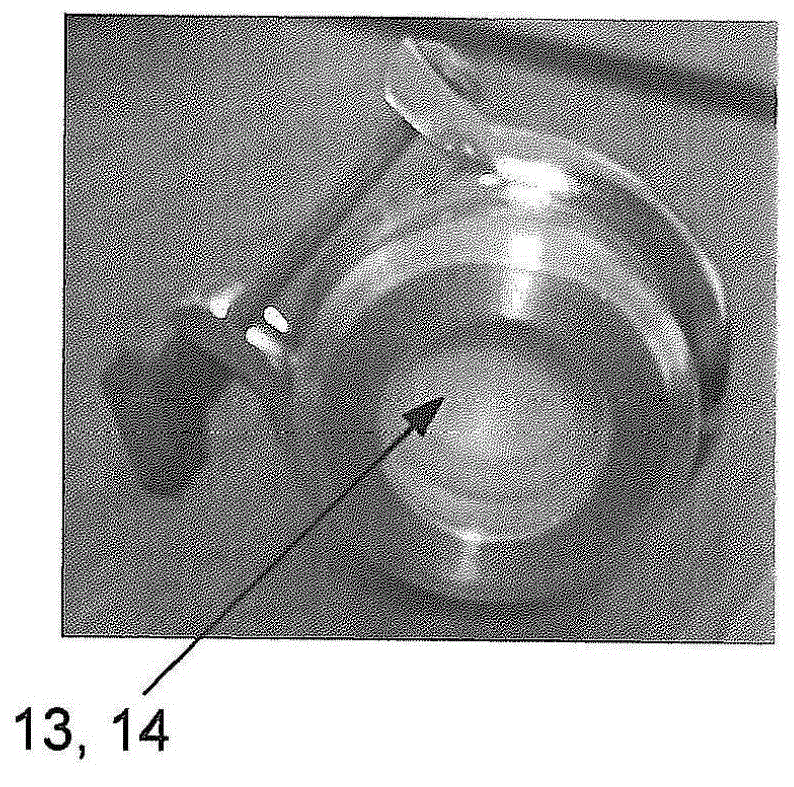 System and method for collecting samples in exhaled gas of subject and uses of method