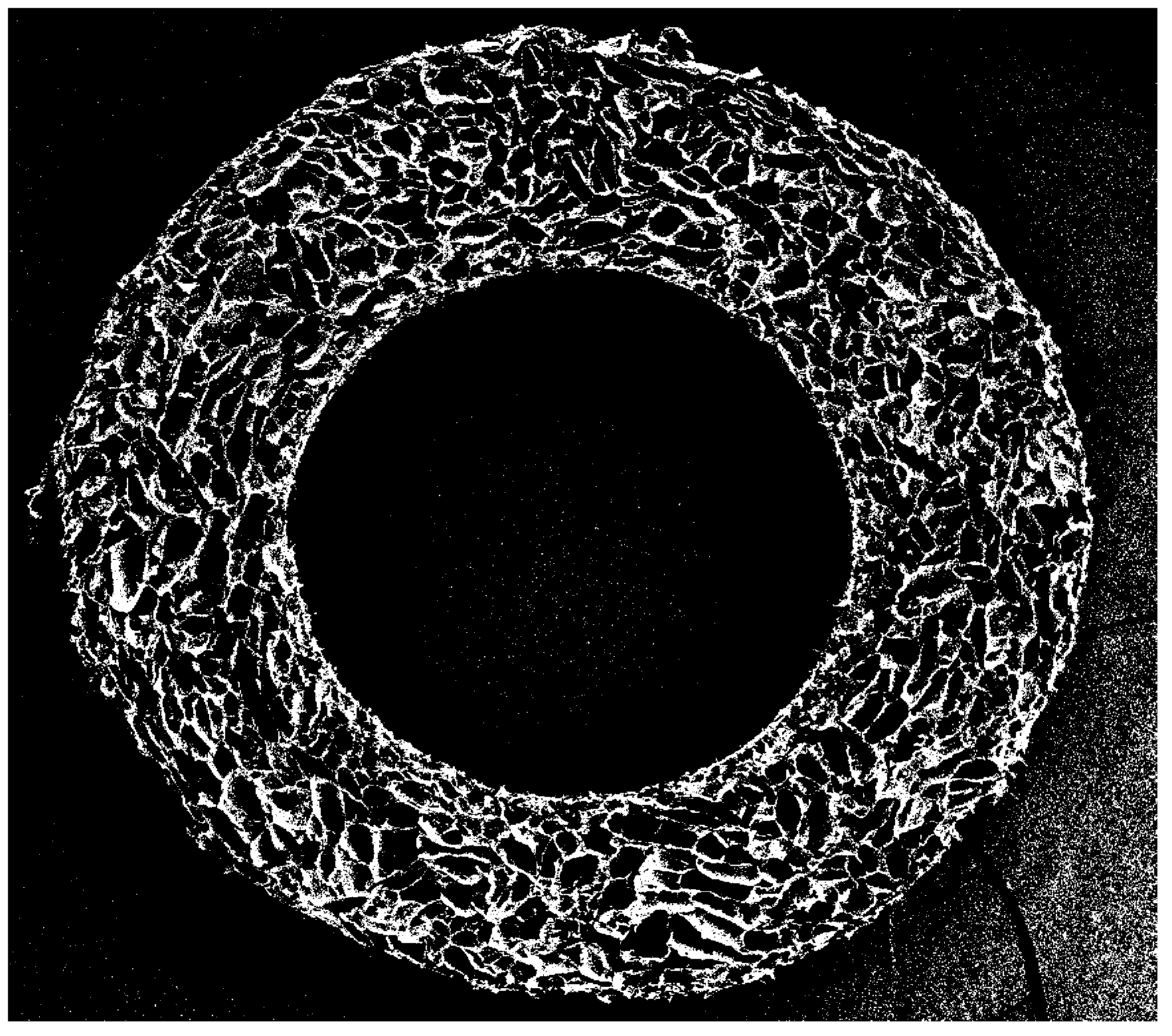 Microporous degradable collagen-chitosan nerve conduit and preparation method thereof