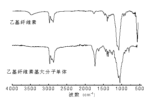 Preparation method of ethyecellulose-based macromonomer