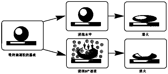 Microgel particle of bowl structure as well as preparation method and application of microgel particle