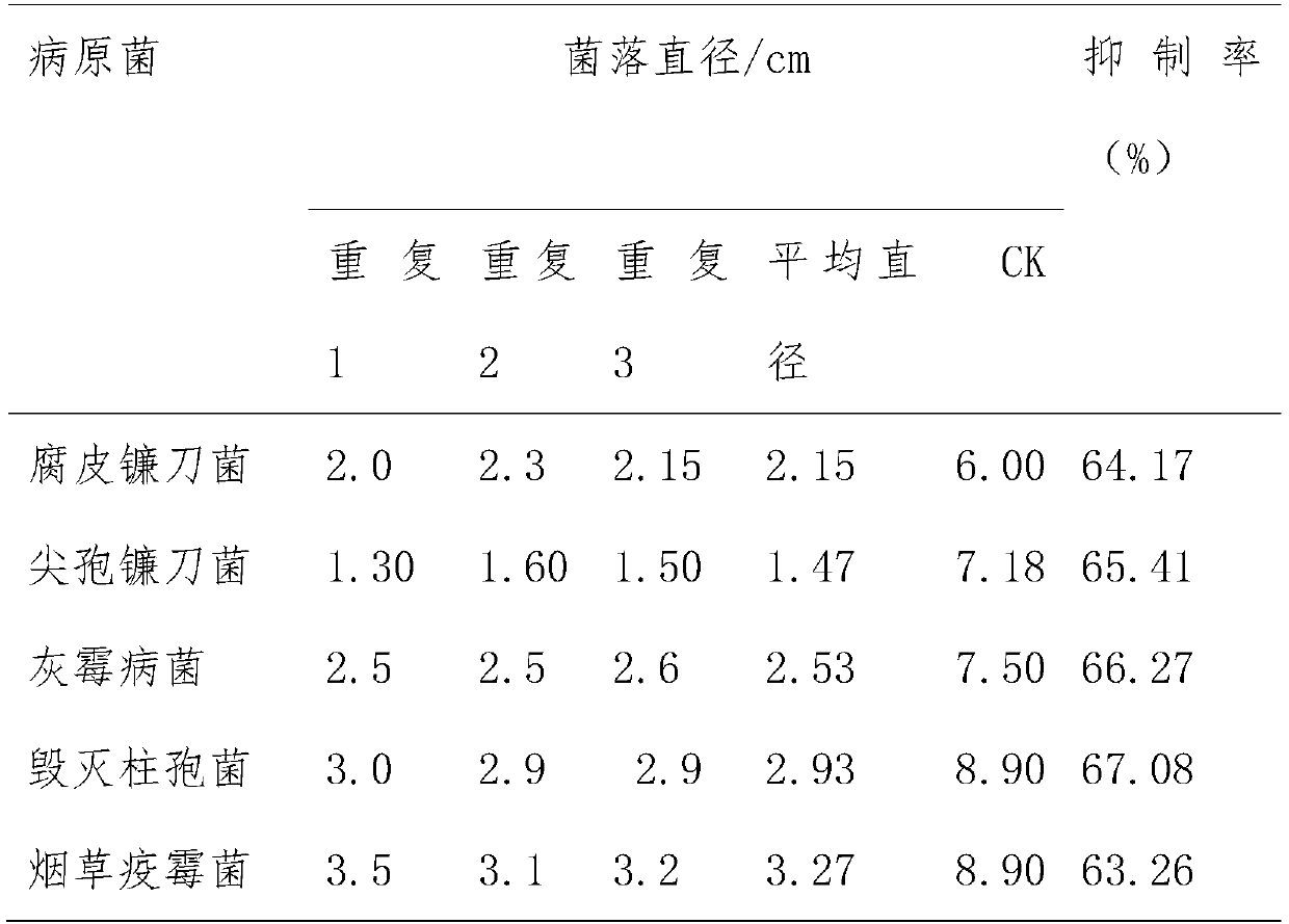 A strain of Bacillus Velez gt11 and its application