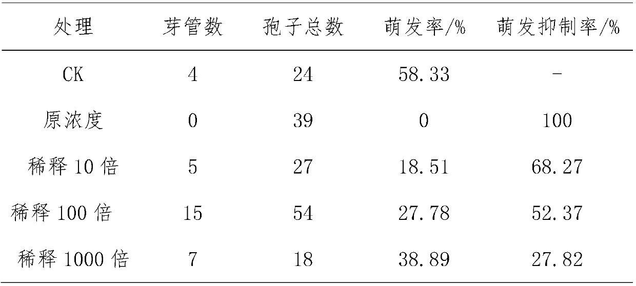 A strain of Bacillus Velez gt11 and its application