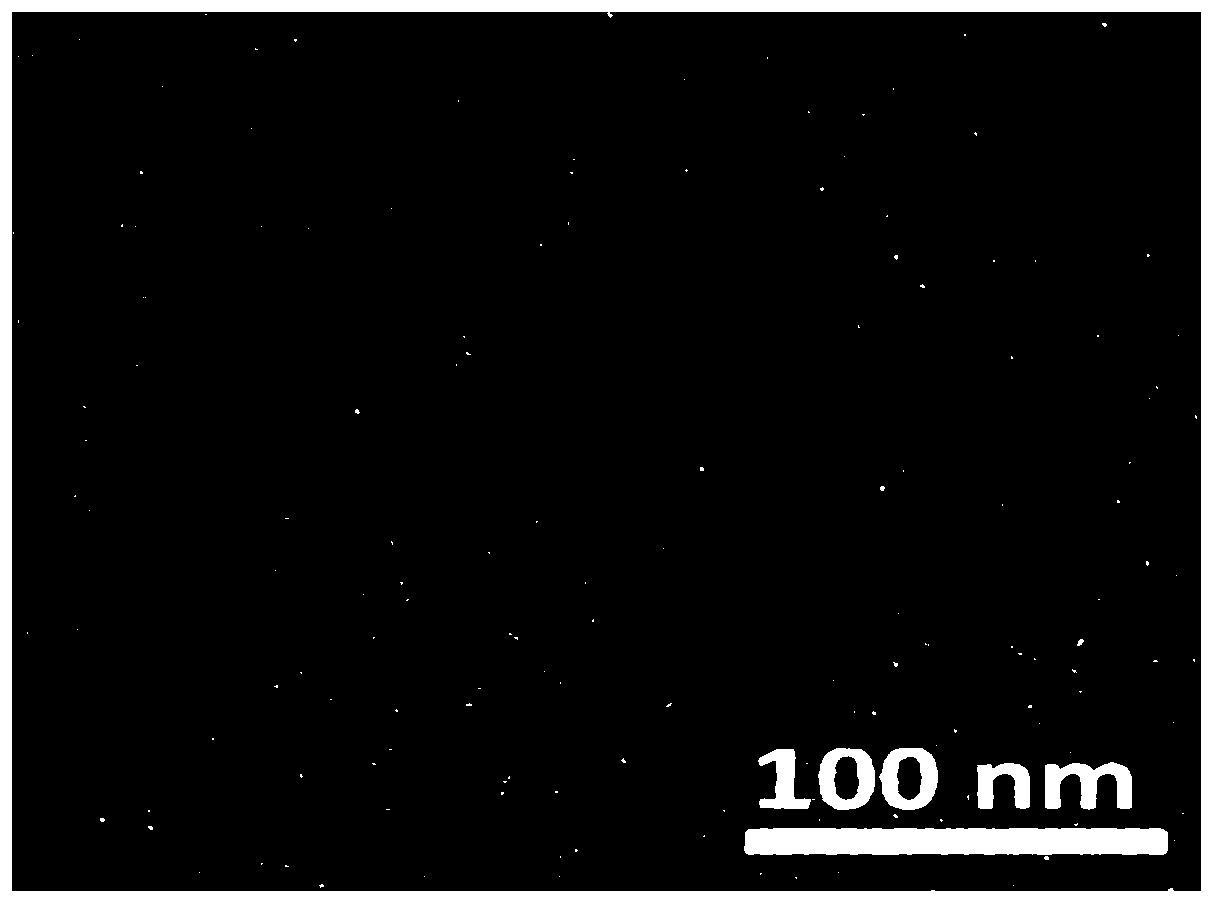 Antitumor platinum drug mineralization protein nanoparticles and preparation method and application thereof