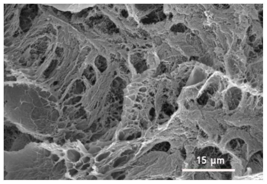 Graphene-based conductive hydrogel and its preparation method and its application in flexible wearable sensors