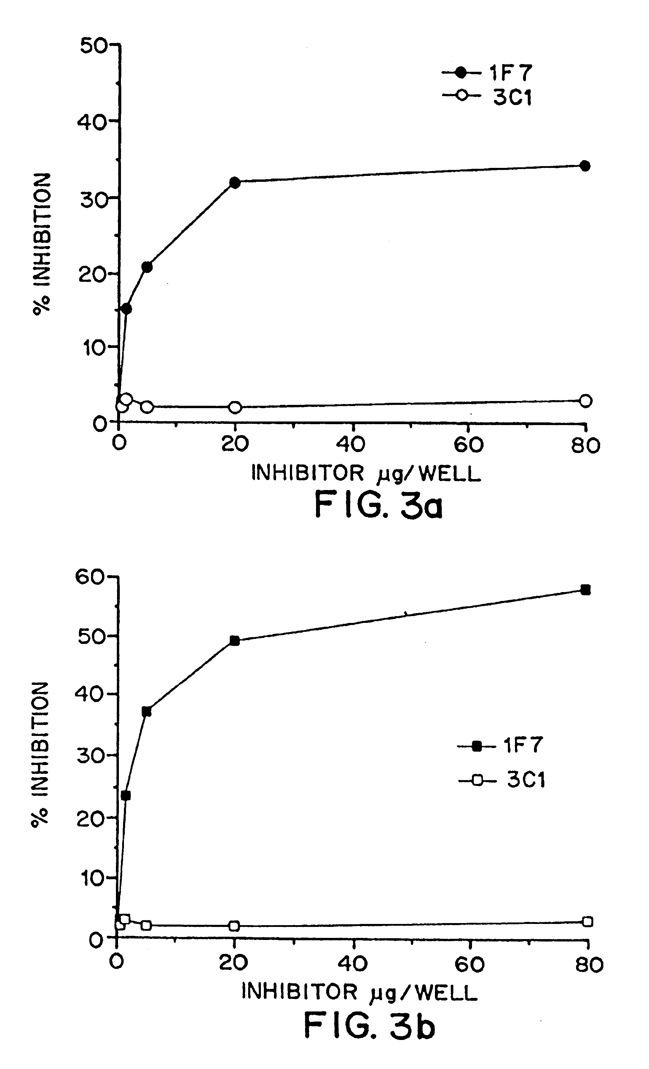 Anti-idiotypic antibody and its use in regulating the composition of T cell lymphocytes