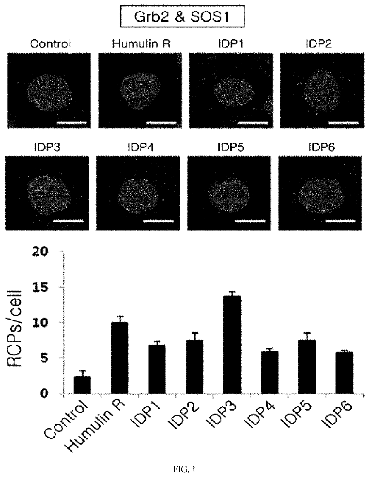 Insulin a-chain derived peptide fragment and pharmaceutical composition for preventing or treating diabetes or diabetic wounds, containing the same