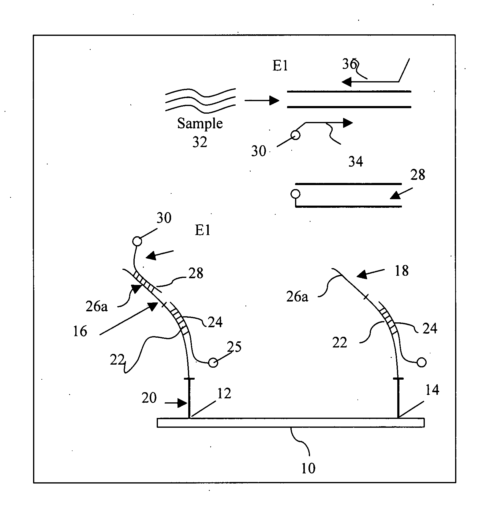 Multiplexed assay and probes for identification of HPV types