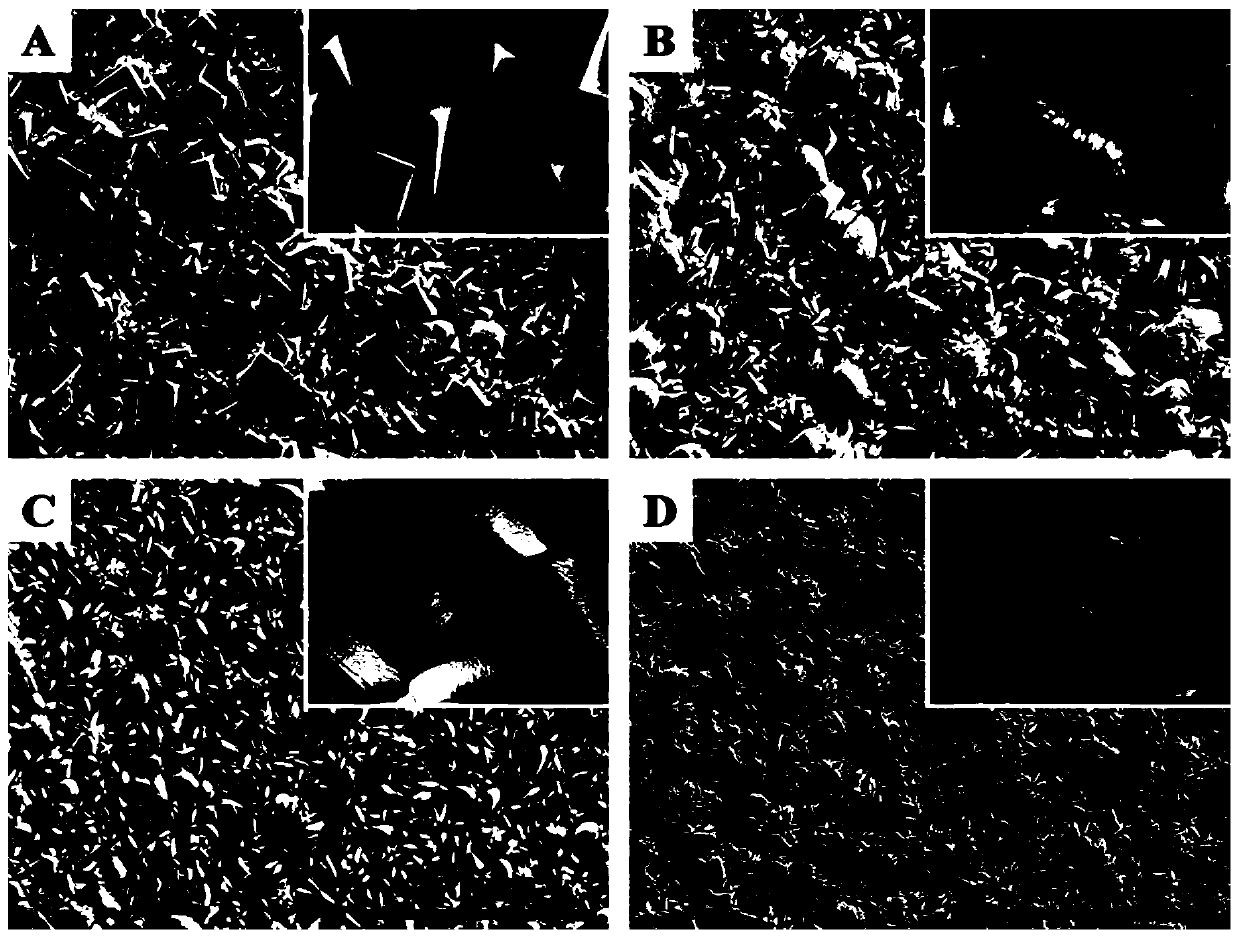 Titanium surface micro-nano zinc phosphate strontium chemical conversion film and controllable preparation method thereof