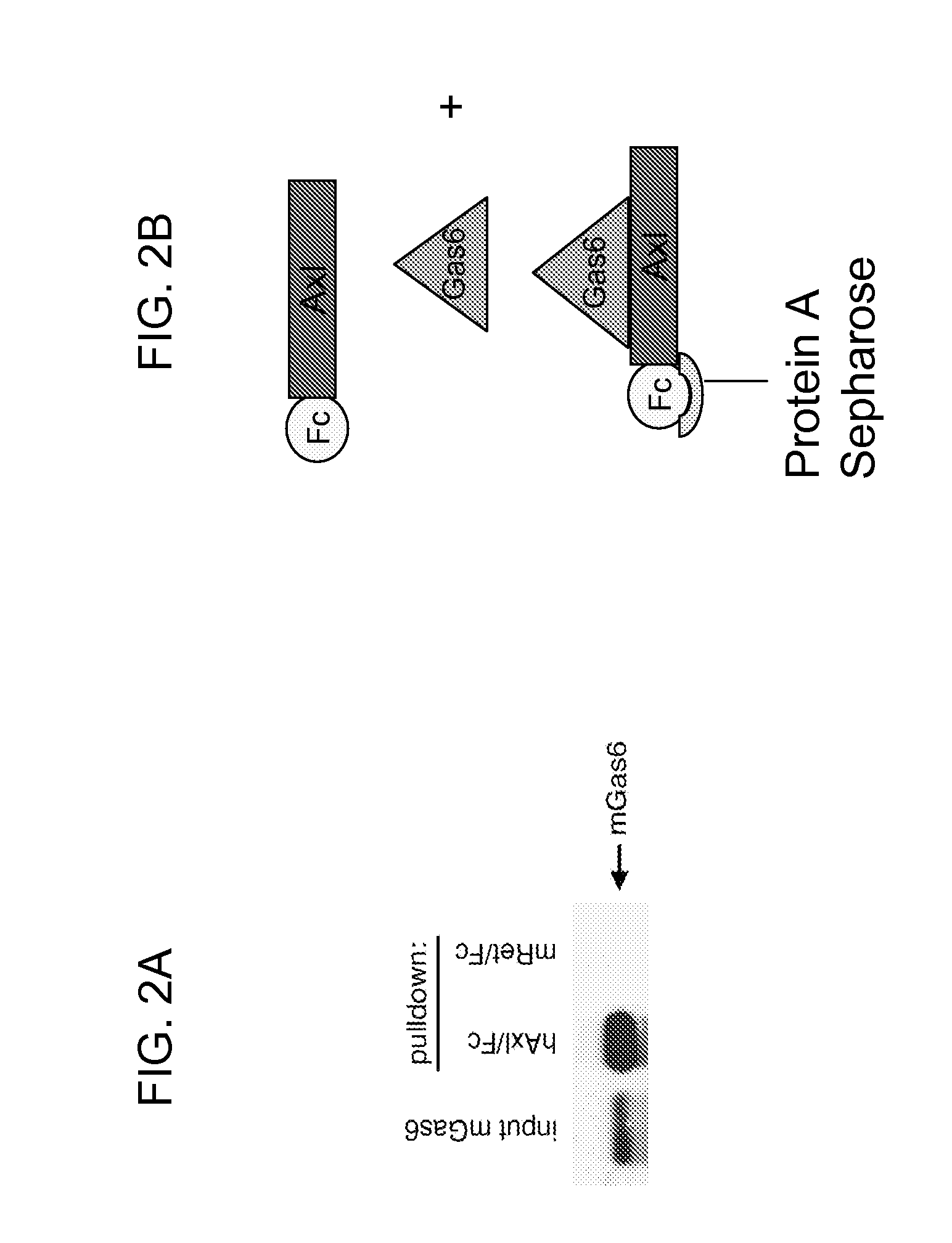 Axl tyrosine kinase inhibitors and methods of making and using the same