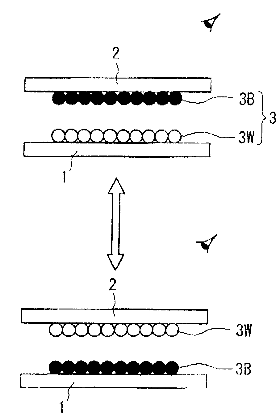 Particle for display medium and information display panel utilizing the same