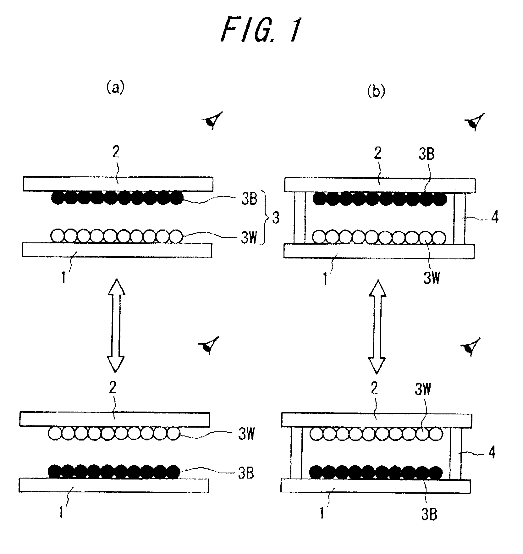 Particle for display medium and information display panel utilizing the same