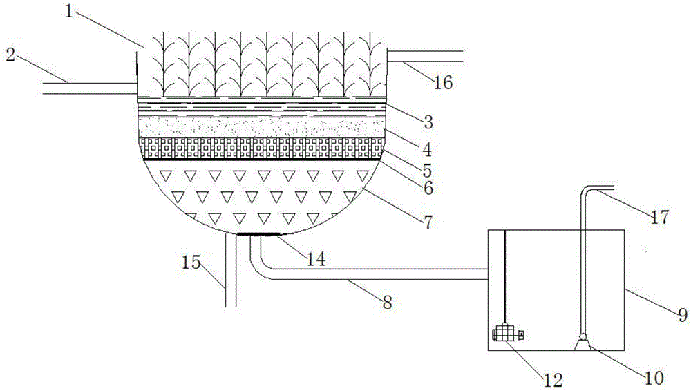 Rainwater collection-reuse treatment device