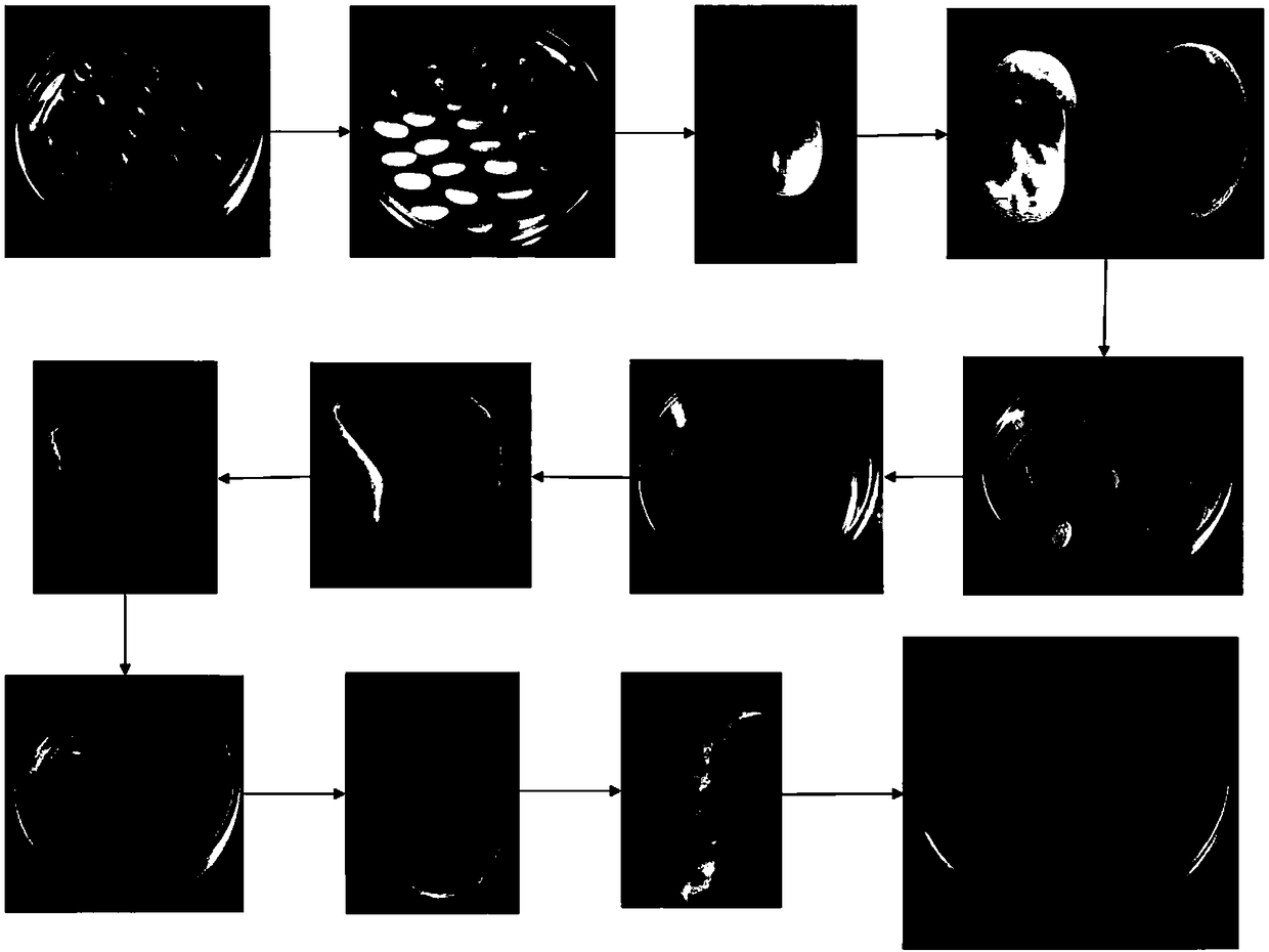 High-efficiency agrobacterium-mediated transformation method of soybean root hairs